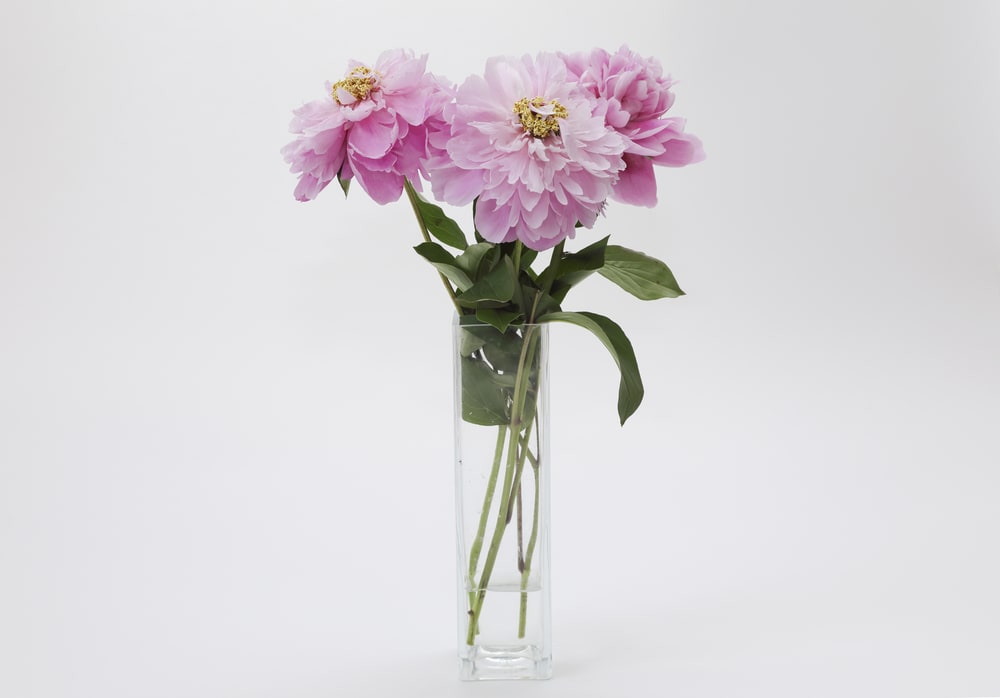 Cylindrical Vase For Flowers